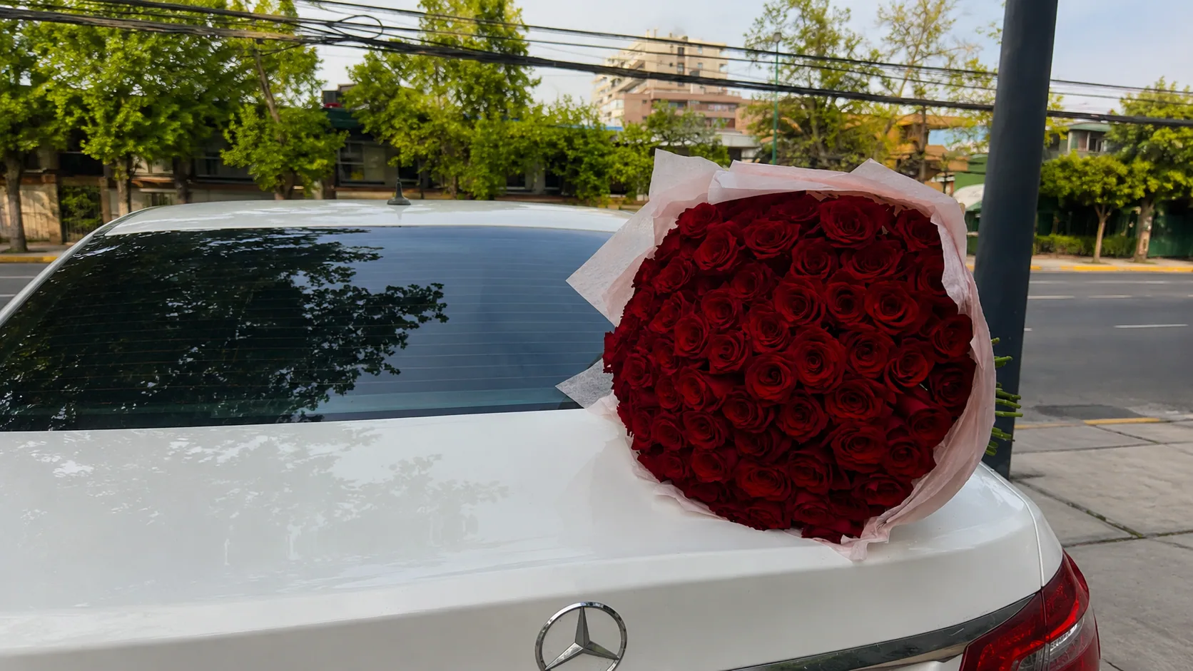Ramo XL de cien rosas rojas apoyado sobre el maletero de un auto blanco antes del reparto