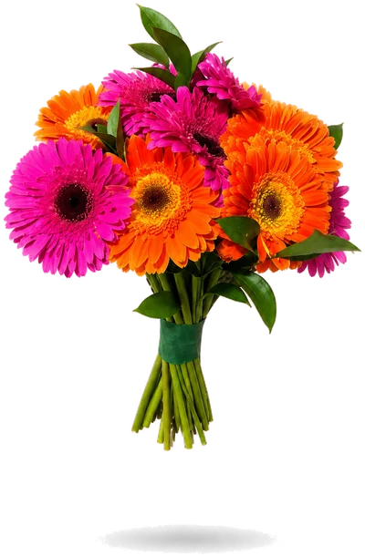 Ramo de gerberas con ruscus
