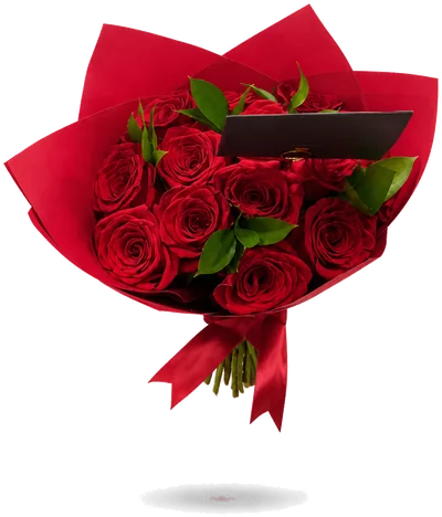 Ramo de rosas con ruscus, en papel de regalo con moño de raso