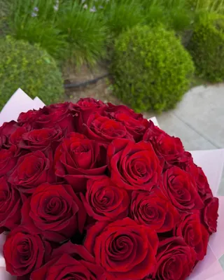 Detalle de un ramo de rosas rojas en papel rosado