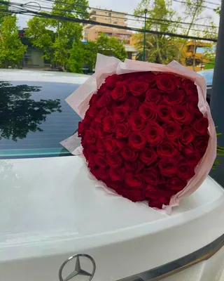 Ramo grande de rosas rojas apoyado sobre el capó de un auto