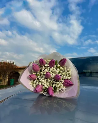 Ramo de tulipanes morados y gypsophila apoyado sobre el capó de un auto